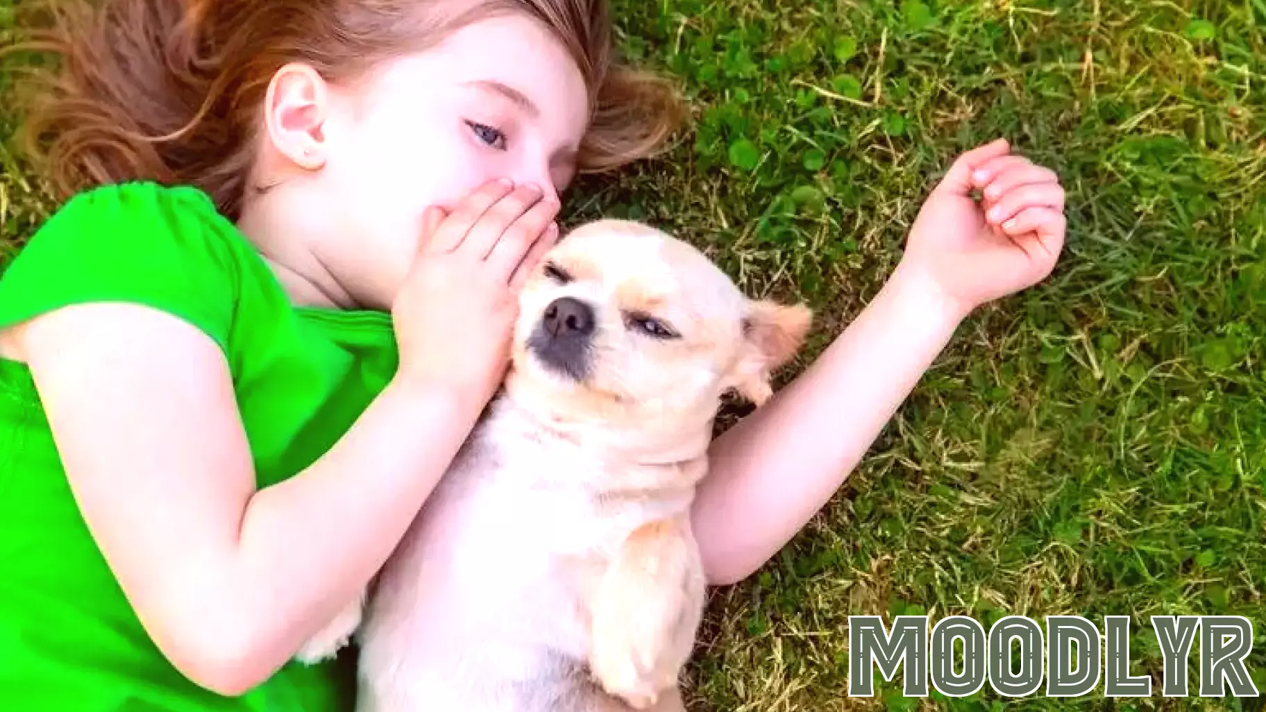 The Hidden Benefits of Talking to Dogs Like Humans